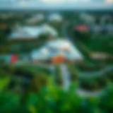 Aerial view showcasing the lush greenery and vibrant landscape of Discovery Garden
