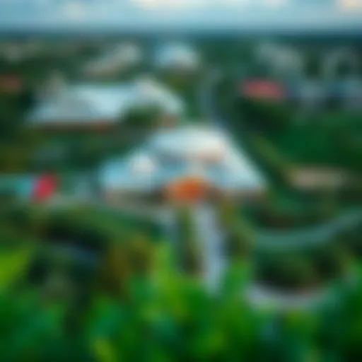 Aerial view showcasing the lush greenery and vibrant landscape of Discovery Garden