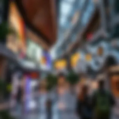 Future trends in urban mall development and community engagement