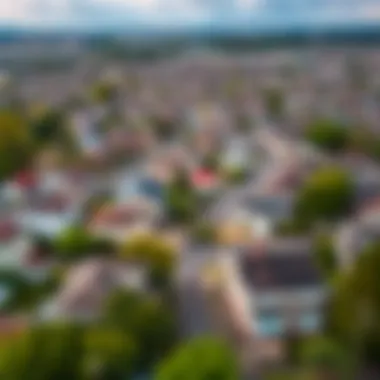 Vibrant Neighborhoods and Their Unique Charm Aerial view of a vibrant residential neighborhood