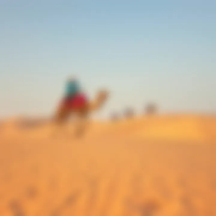 A breathtaking desert landscape showcasing adventurous recreational activities like dune bashing and camel riding.