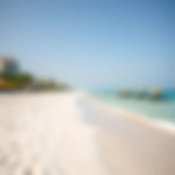 Serene beachfront showcasing pristine sand and turquoise water