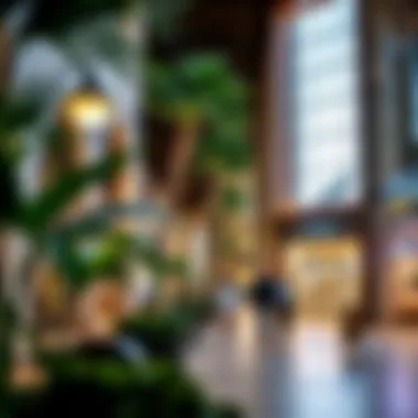 Shopping Experience at Jumeirah Beach Residence Vibrant shopping area with eclectic stores