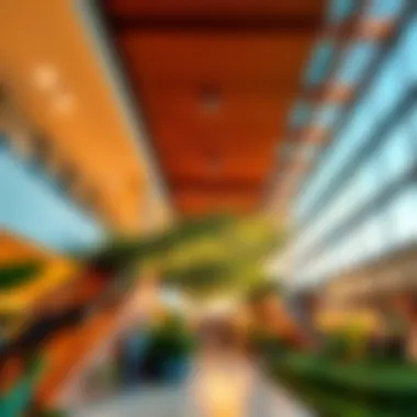 Architectural Design Showcasing Natural Elements Architectural design showcasing natural elements at Galleria Mall