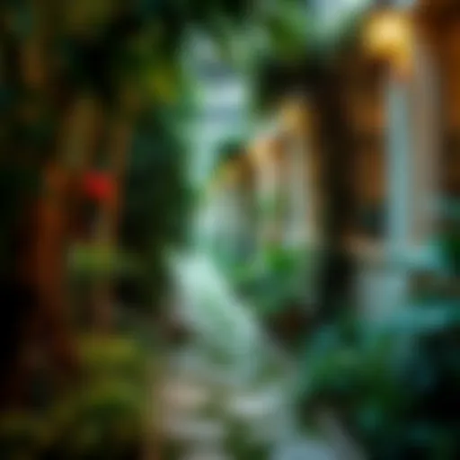 Lush greenery and tranquil pathways in the Secret Garden