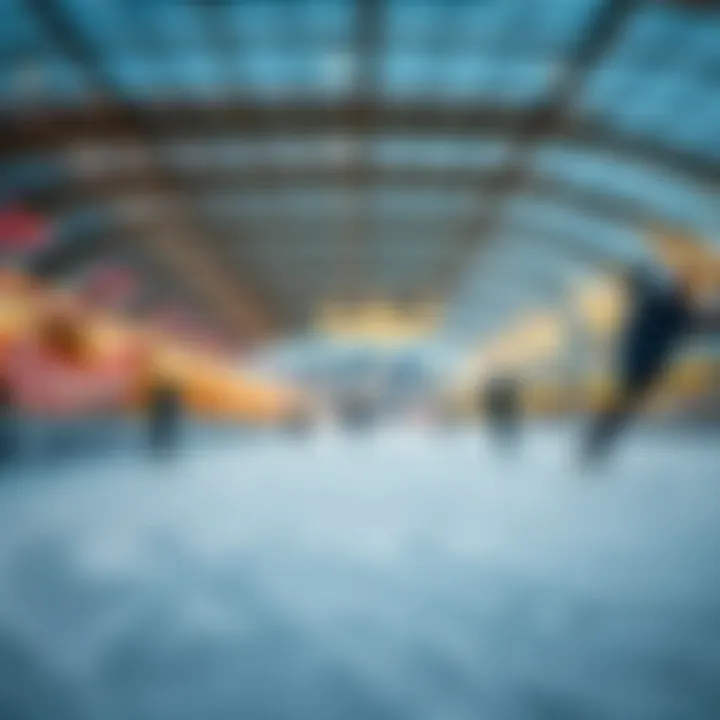 A close-up of the unique design elements of a Dubai skating rink.