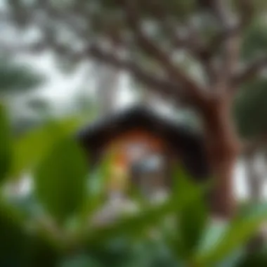 Sustainability in the Treehouse Design Sustainable features of the treehouse design
