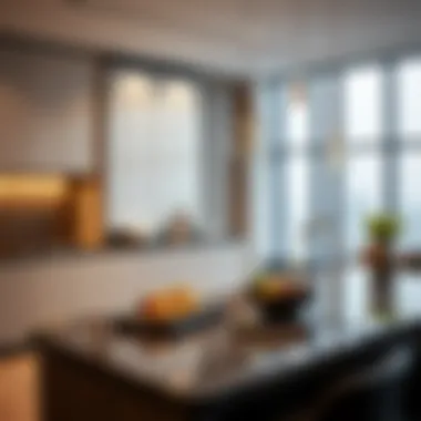 Culinary Excellence in Urban Living Modern kitchen in a luxurious urban residence