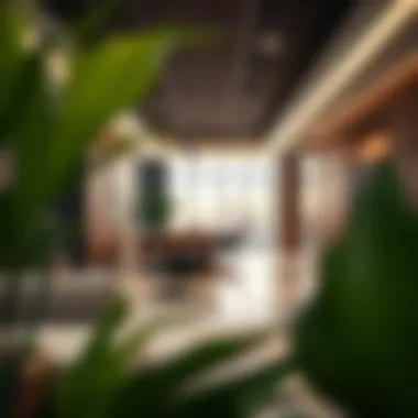Legal frameworks for virtual offices