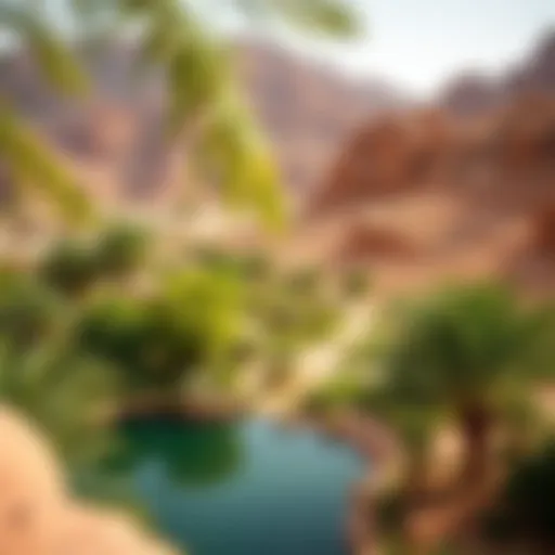 Breathtaking view of the Wadi Showka oasis showcasing its lush greenery against the arid desert backdrop