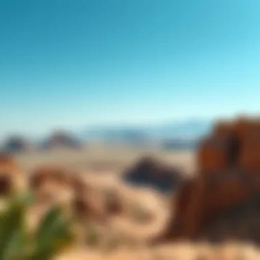 A panoramic landscape of Wadi Showka highlighting its unique rock formations and geographical features