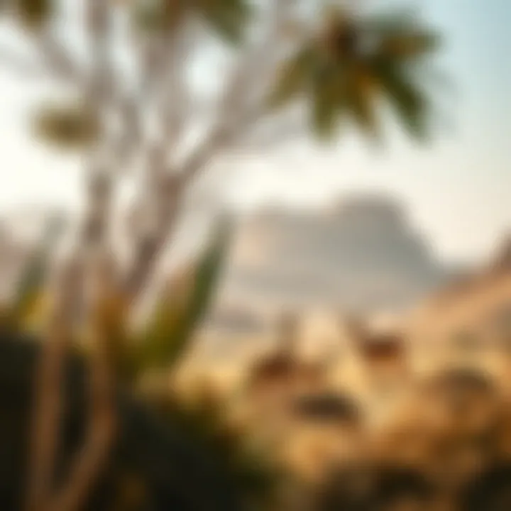 A tranquil scene of wildlife in the Wadi Showka ecosystem, emphasizing its ecological importance