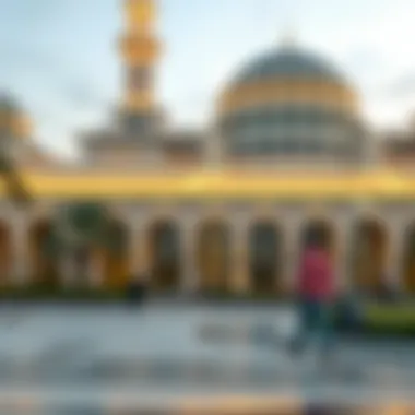 Inquiry Process for Visa Status Illustration of visa status inquiry