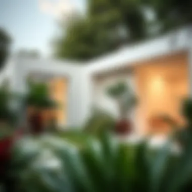 Minimalist Garden Elegance Stunning minimalist garden design with sleek lines and vibrant plants