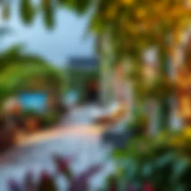 Investment opportunities illustrated through the Ivy Secret Garden's market trends