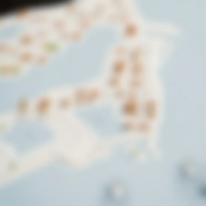 Map outlining the strategic layout of Jubail Island and its connectivity to Abu Dhabi