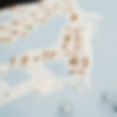 Strategic Layout of Jubail Island Map outlining the strategic layout of Jubail Island and its connectivity to Abu Dhabi