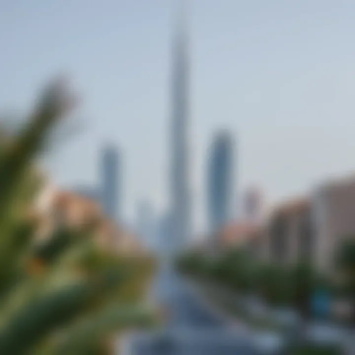 Surrounding neighborhoods enhancing Latifa Tower's appeal