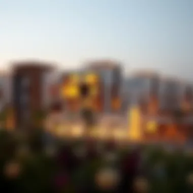 Modern Residential Area in Madinat Zayed Modern residential area in Madinat Zayed Al Dhafra