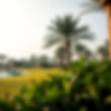 Lush green parks and recreational spaces on Maryam Island offering a serene atmosphere