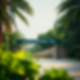 Entrance of Mushrif Park showcasing lush greenery