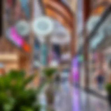 Vibrant retail spaces showcasing diverse shopping options in Deira