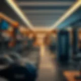 A modern gym interior showcasing state-of-the-art fitness equipment
