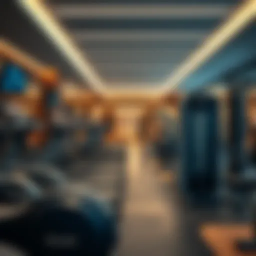 A modern gym interior showcasing state-of-the-art fitness equipment