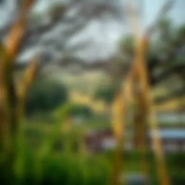 Nature's Sanctuary Scenic view of a nature reserve with diverse wildlife
