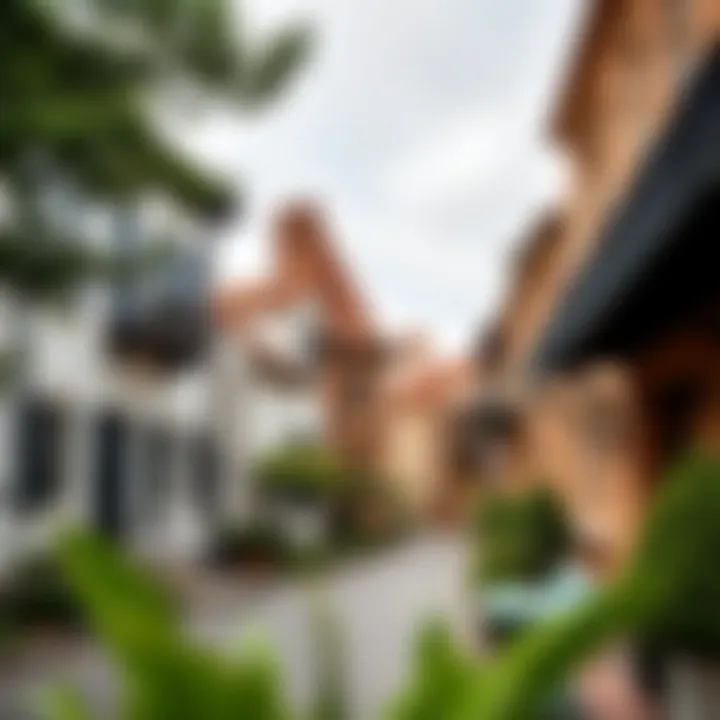 A Glimpse into Historical Neighborhoods A picturesque street lined with historical houses reflecting the past.