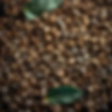 Diverse Coffee Beans Collection An artistic arrangement of various coffee beans representing the diverse origins that contribute to Dubai's coffee culture.