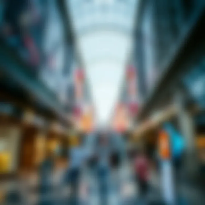 Dynamic Retail Environment in Dubai A bustling mall environment representing Dubai's dynamic market