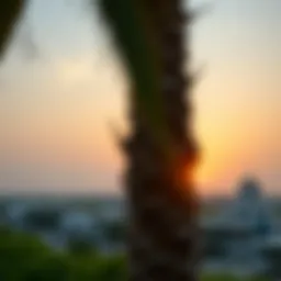 A tranquil view of Al-Nuaimia's skyline at sunset, showcasing modern architecture and natural beauty