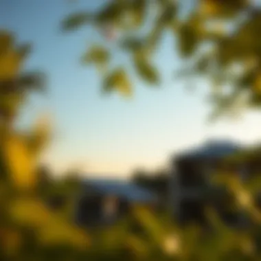 Notable The Role of Safe Developers in the Real Estate Landscape Notable The Role of Safe Developers in the Real Estate Landscape