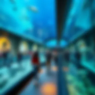 Engaging Experiences at Dubai Aquarium Visitors enjoying the interactive exhibits at Dubai Aquarium