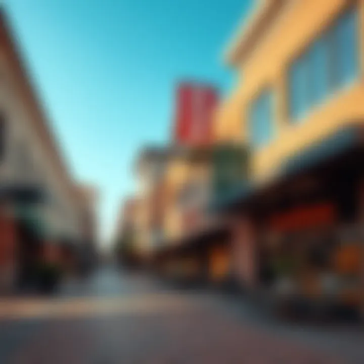 A diverse range of commercial establishments in the town square