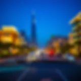 Visual representation of UAE visa application tracking