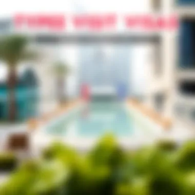 Graphic representing various types of UAE visit visas