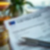 Visual representation of UAE visa documents