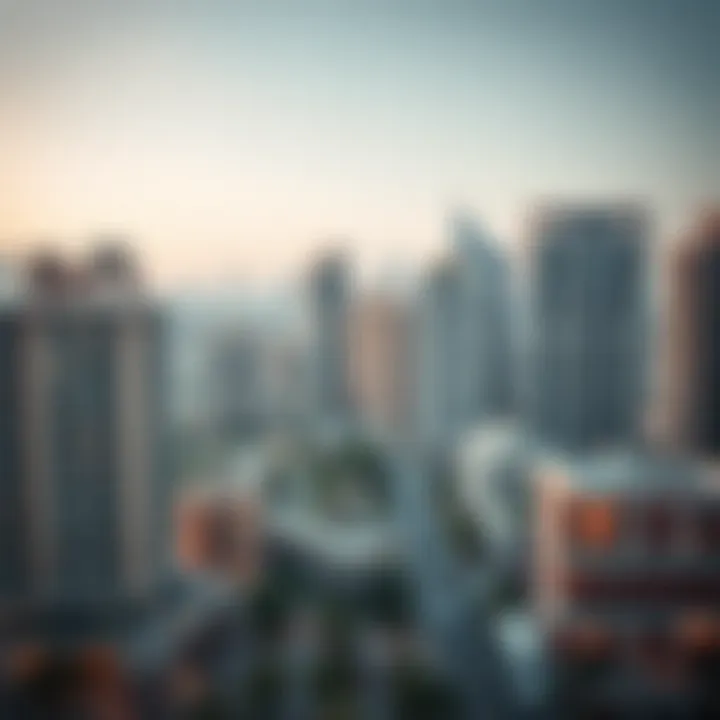 Visual representation of cost of living in Dubai