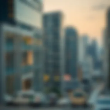 Urban Housekeeping: Navigating the Complexities of City Living Introduction